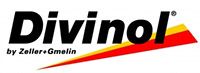 Моторное масло DIVINOL 49200